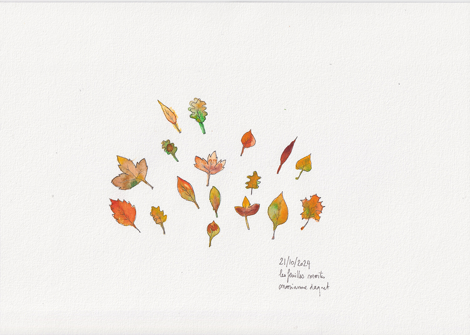 feuilles mortes automne dessin aquarelle